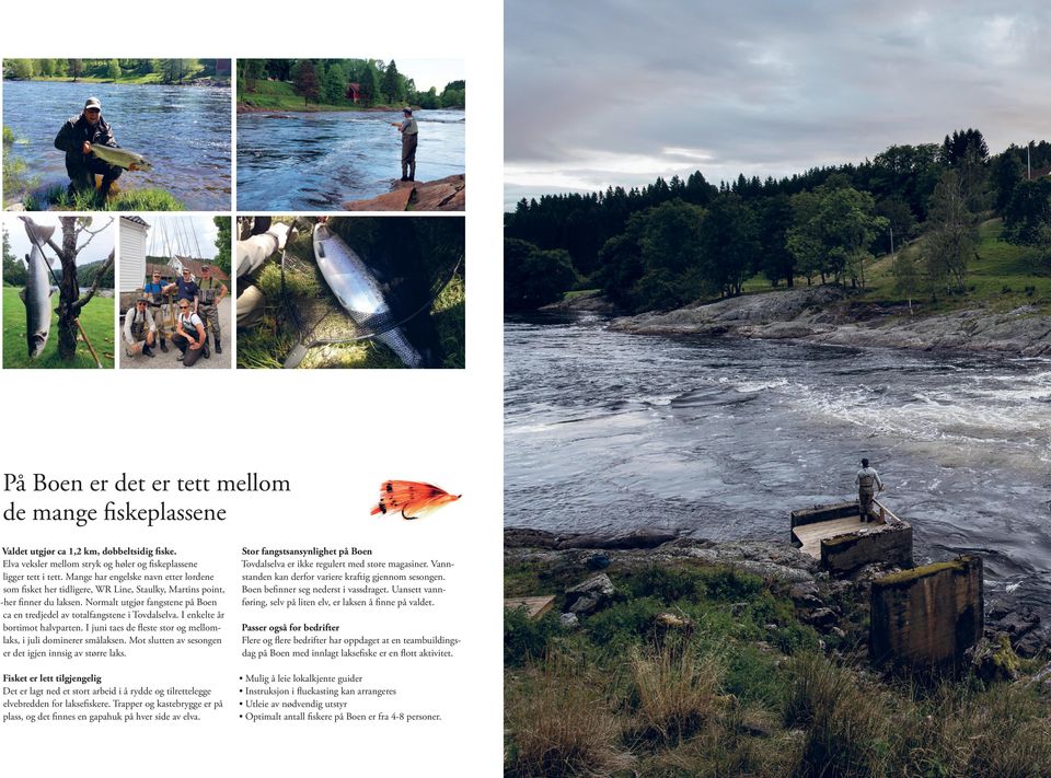 Normalt utgjør fangstene på Boen ca en tredjedel av totalfangstene i Tovdalselva. I enkelte år bortimot halvparten. I juni taes de fleste stor og mellomlaks, i juli dominerer smålaksen.