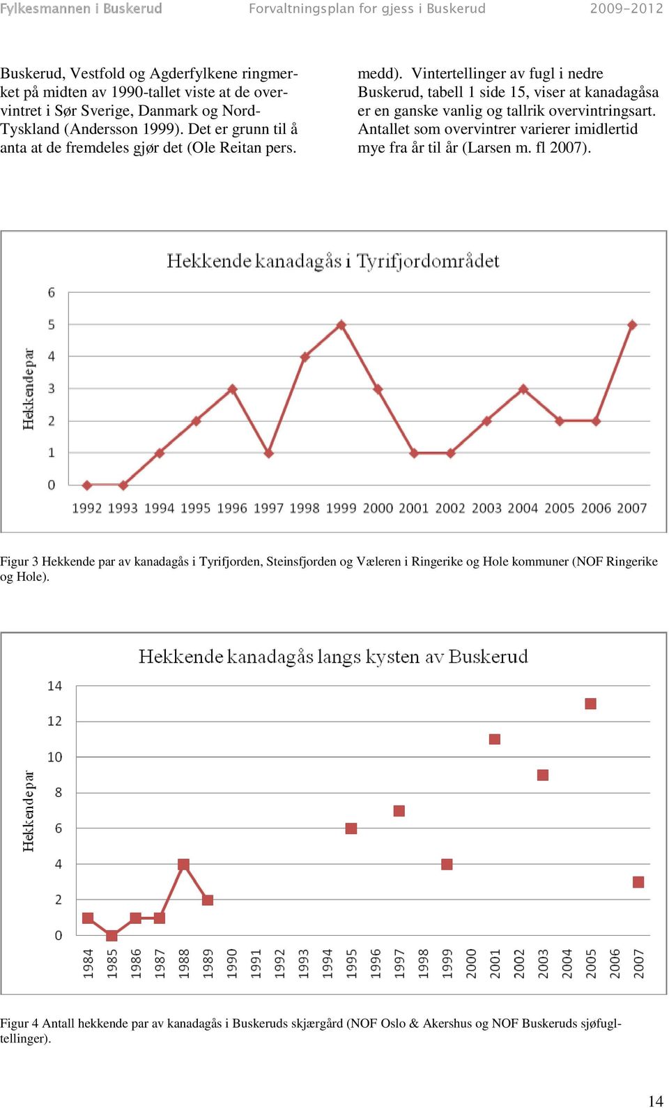 Vintertellinger av fugl i nedre Buskerud, tabell 1 side 15, viser at kanadagåsa er en ganske vanlig og tallrik overvintringsart.