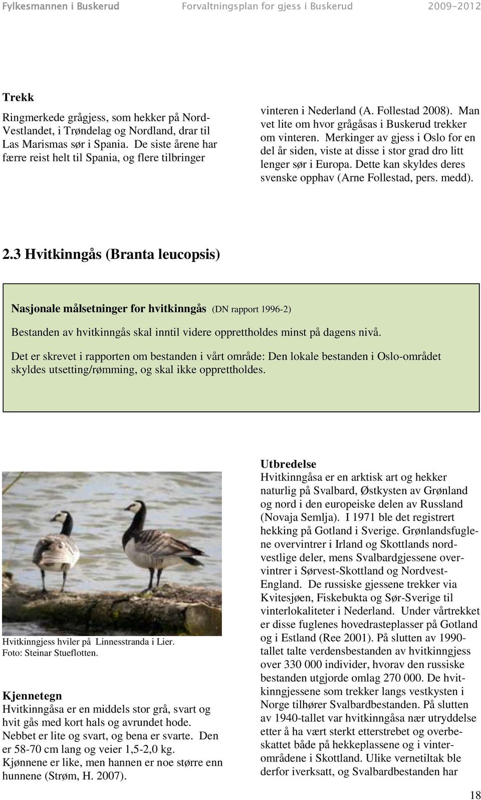 Merkinger av gjess i Oslo for en del år siden, viste at disse i stor grad dro litt lenger sør i Europa. Dette kan skyldes deres svenske opphav (Arne Follestad, pers. medd). 2.