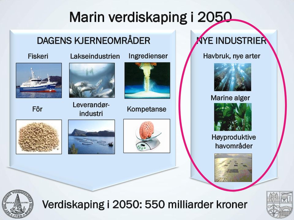 arter Fôr Leverandørindustri Kompetanse Marine alger