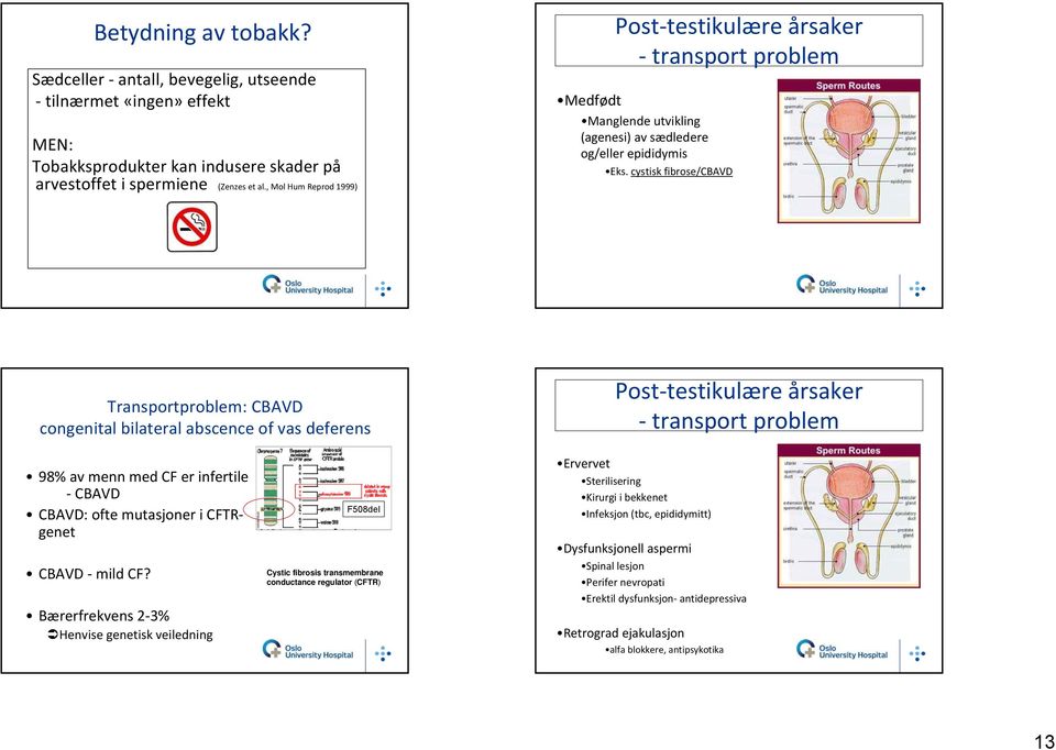 cystisk fibrose/cbavd Transportproblem: CBAVD congenital bilateral abscence of vas deferens Post testikulære årsaker transport problem 98% av menn med CF er infertile CBAVD CBAVD: ofte mutasjoner i