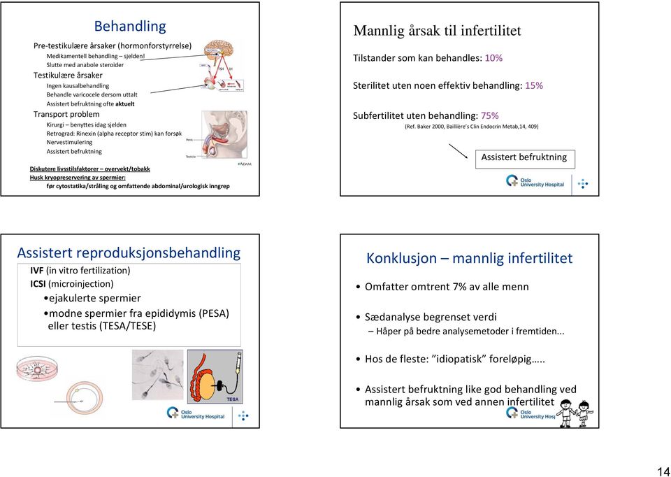 Rinexin (alpha receptor stim) kan forsøkes Nervestimulering Assistert befruktning Diskutere livsstilsfaktorer overvekt/tobakk Husk kryopreservering av spermier: før cytostatika/stråling og omfattende