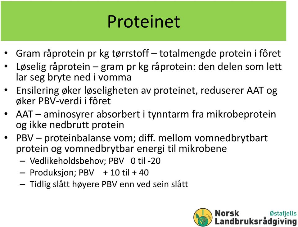absorbert i tynntarm fra mikrobeprotein og ikke nedbrutt protein PBV proteinbalanse vom; diff.