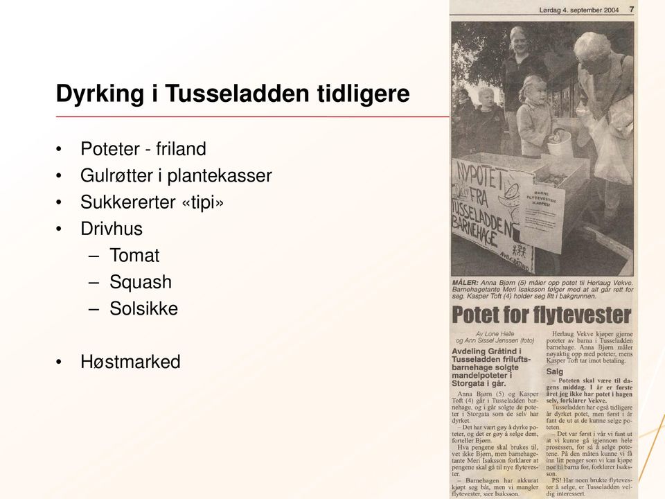 plantekasser Sukkererter «tipi»