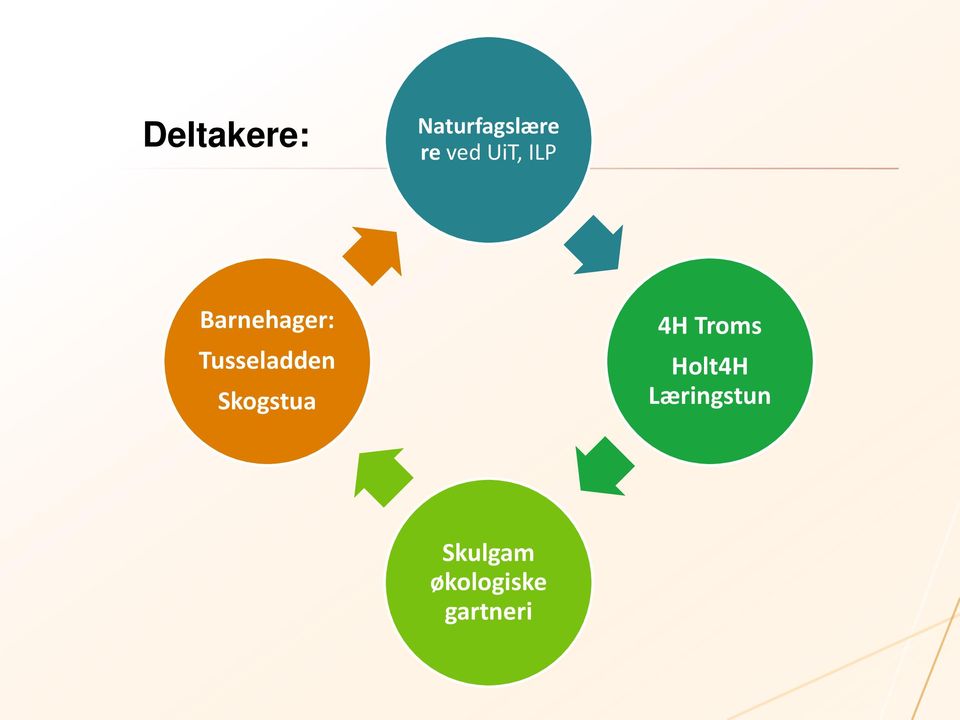 Tusseladden Skogstua 4H Troms