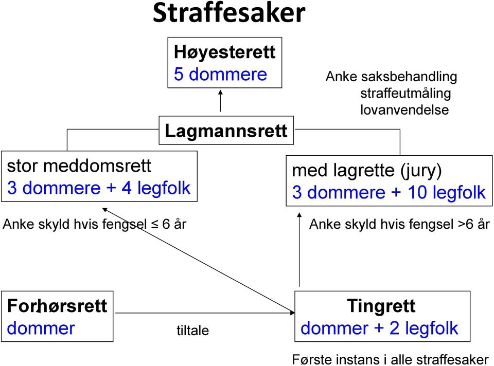 lovanvendelse med lagrette (jury) 3 dommere + 10 legfolk Anke skyld hvis fengsel