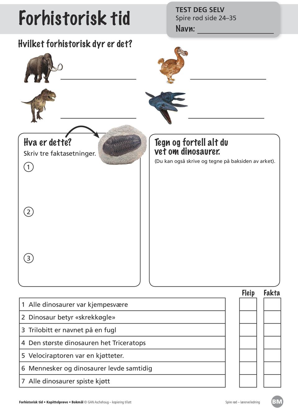 Fleip Fakta Alle dinosaurer var kjempesvære Dinosaur betyr «skrekkøgle» Trilobitt er navnet på en fugl 4 Den største dinosauren