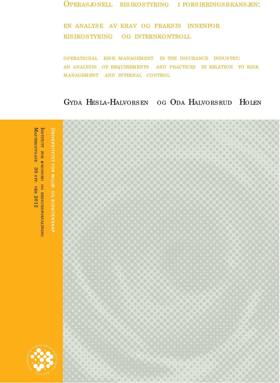 analysis of requirements and practices in relation to risk management and internal control Gyda