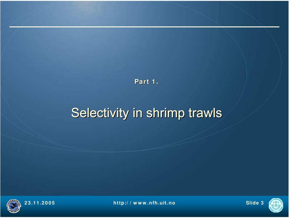 shrimp trawls 23.11.
