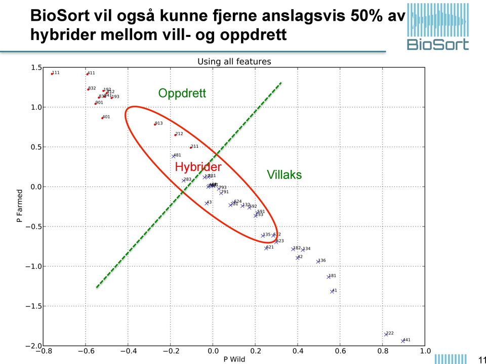 hybrider mellom vill- og