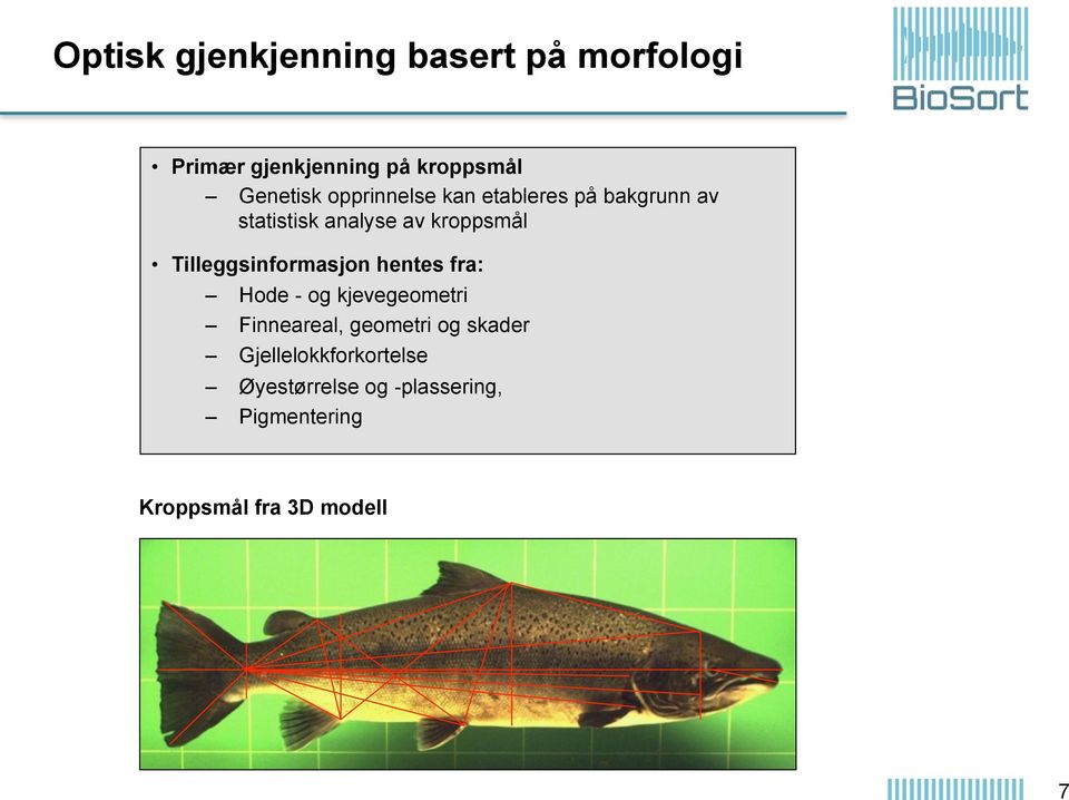 Tilleggsinformasjon hentes fra: Hode - og kjevegeometri Finneareal, geometri og