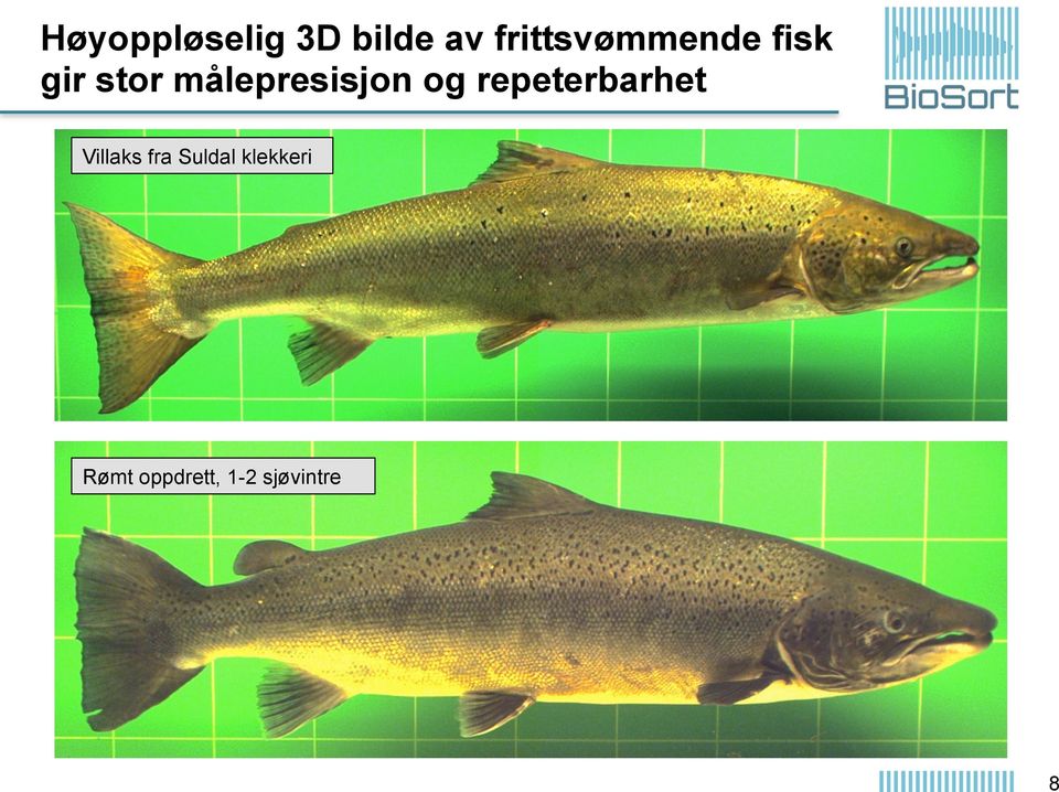 målepresisjon og repeterbarhet