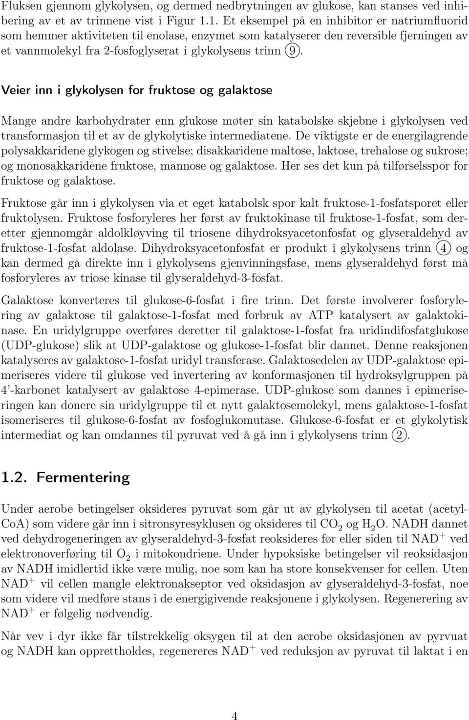 Veier inn i glykolysen for fruktose og galaktose Mange andre karbohydrater enn glukose møter sin katabolske skjebne i glykolysen ved transformasjon til et av de glykolytiske intermediatene.