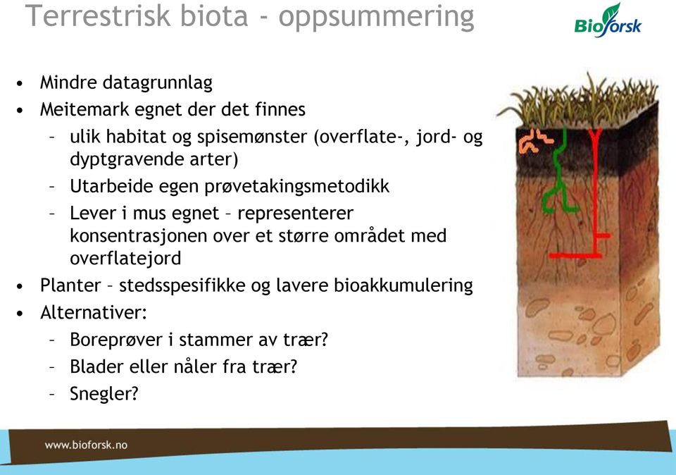 egnet representerer konsentrasjonen over et større området med overflatejord Planter stedsspesifikke