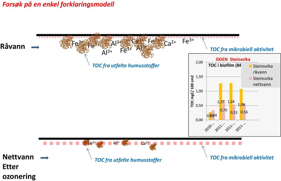 TOC i biofilm (BFM - 1m) Steinsvika råvann Steinsvika nettvann 0,50 0,00 1,27 1,28 1,08 0,70 0,53 0,56