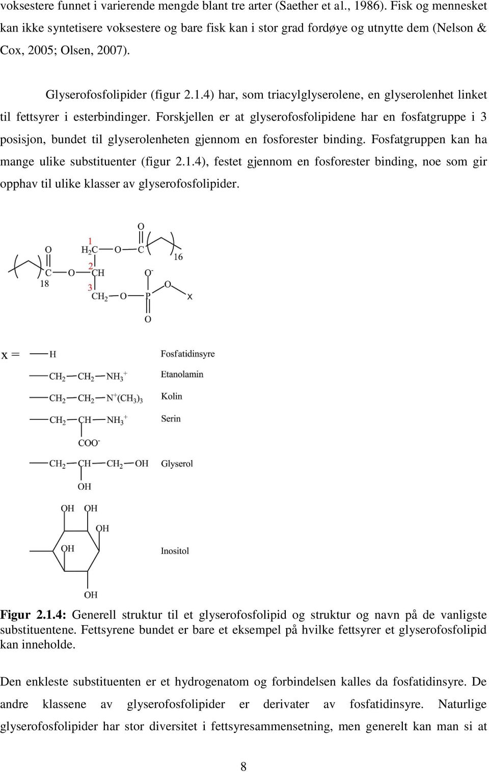 4) har, som triacylglyserolene, en glyserolenhet linket til fettsyrer i esterbindinger.