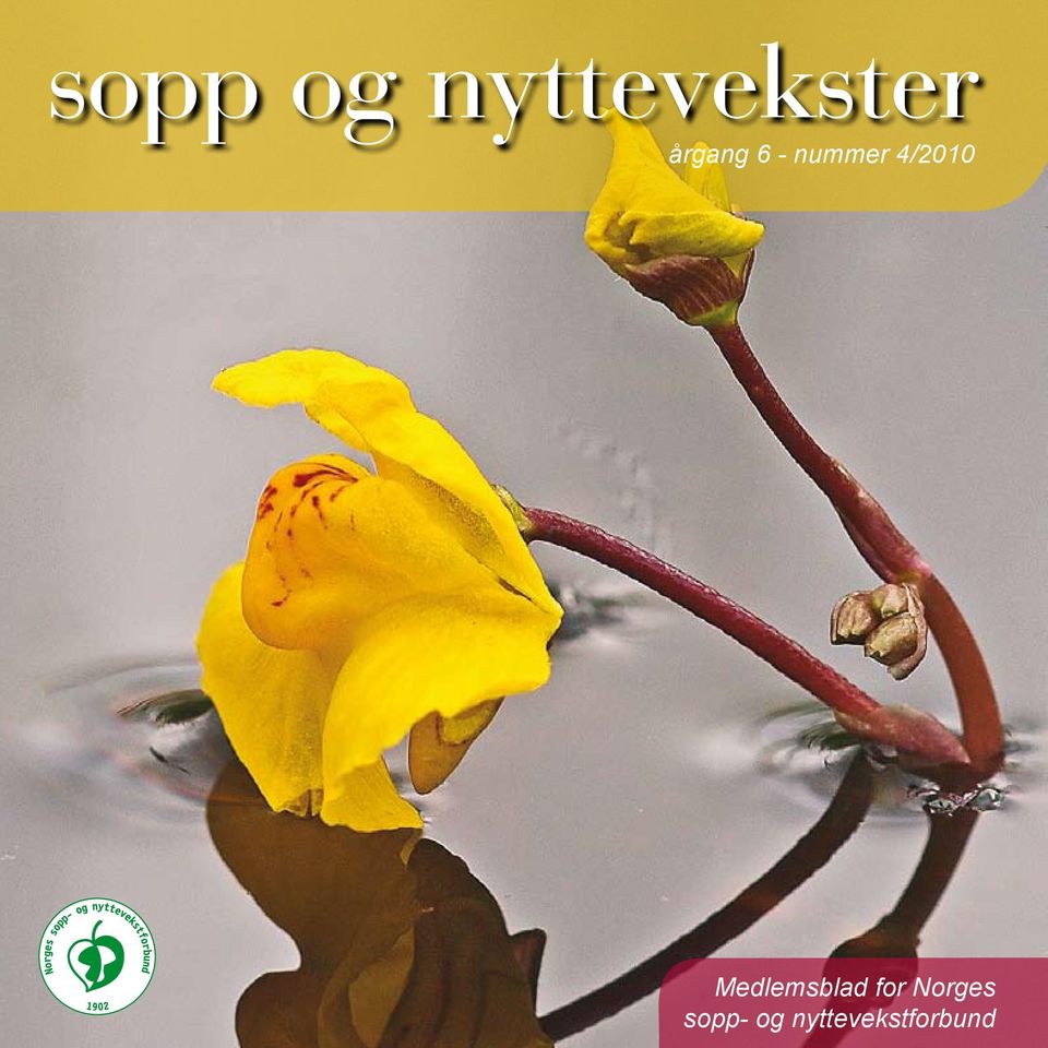 4/2010 Medlemsblad for