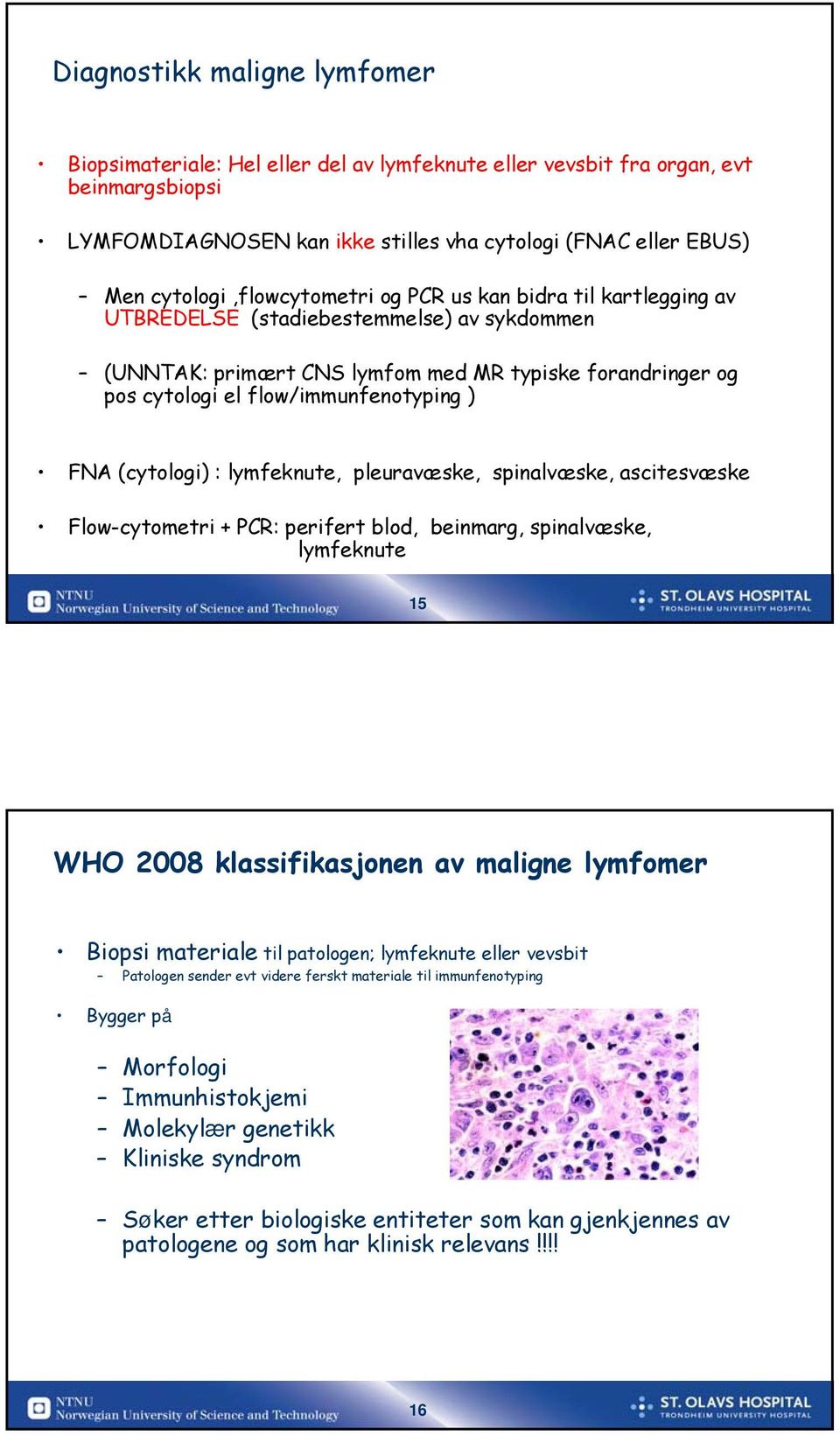 flow/immunfenotyping ) FNA (cytologi) : lymfeknute, pleuravæske, spinalvæske, ascitesvæske Flow-cytometri + PCR: perifert blod, beinmarg, spinalvæske, lymfeknute 15 WHO 2008 klassifikasjonen av