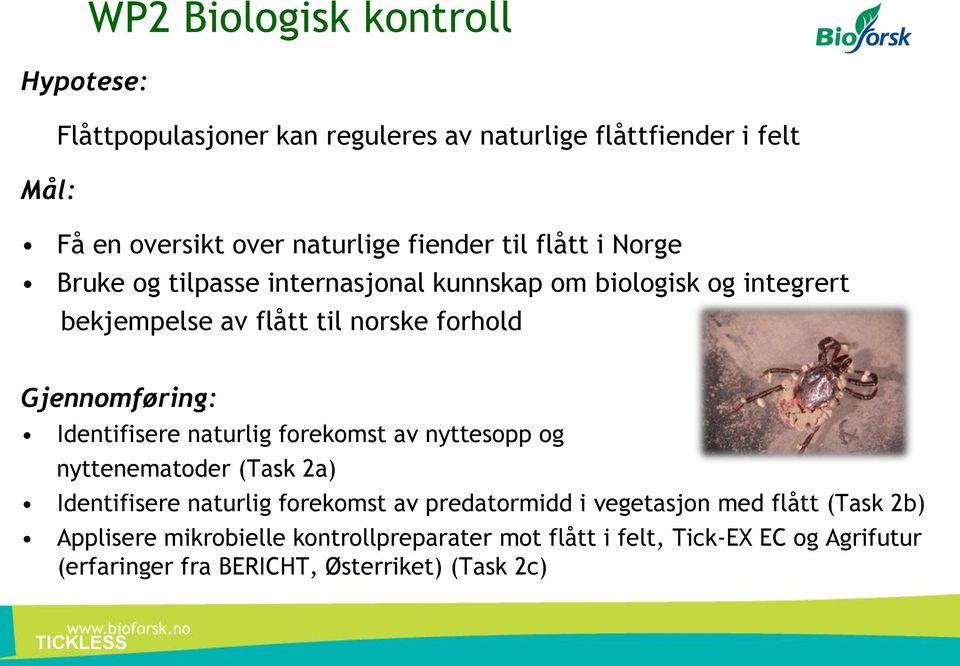 Identifisere naturlig forekomst av nyttesopp og nyttenematoder (Task 2a) Identifisere naturlig forekomst av predatormidd i vegetasjon med flått