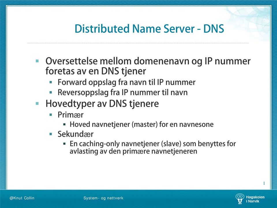 Hovedtyper av DNS tjenere Primær Hoved navnetjener (master) for en navnesone Sekundær En