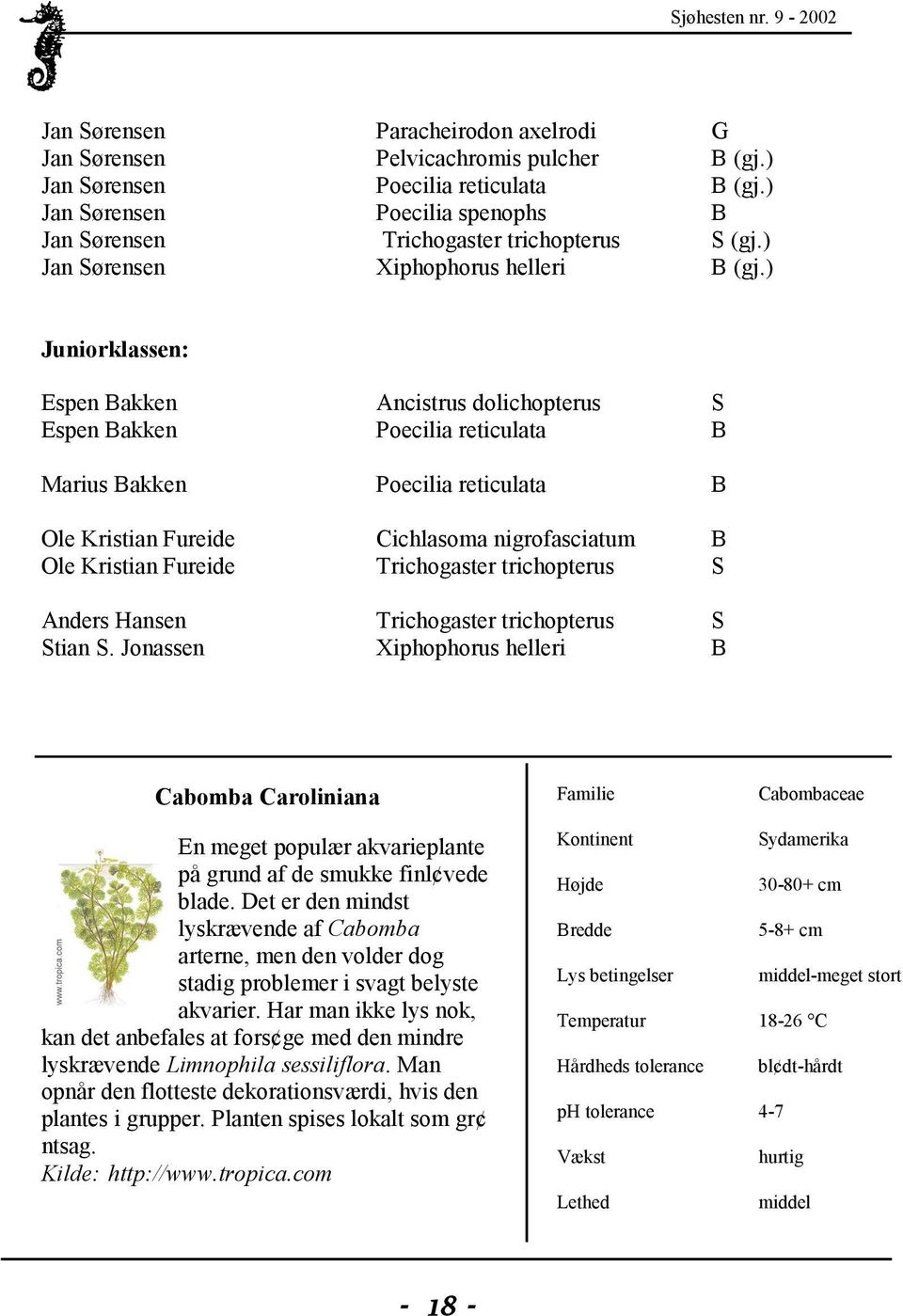 ) Juniorklassen: Espen Bakken Ancistrus dolichopterus S Espen Bakken Poecilia reticulata B Marius Bakken Poecilia reticulata B Ole Kristian Fureide Cichlasoma nigrofasciatum B Ole Kristian Fureide