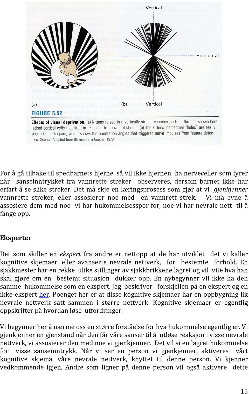 Vi må evne å assosiere dem med noe vi har hukommelsesspor for, noe vi har nevrale nett til å fange opp.