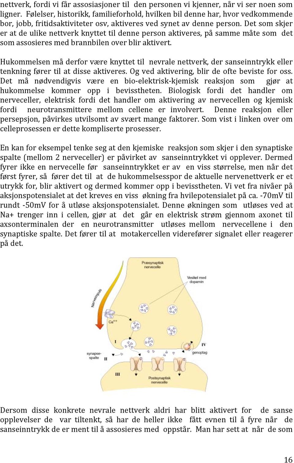 Det som skjer er at de ulike nettverk knyttet til denne person aktiveres, på samme måte som det som assosieres med brannbilen over blir aktivert.