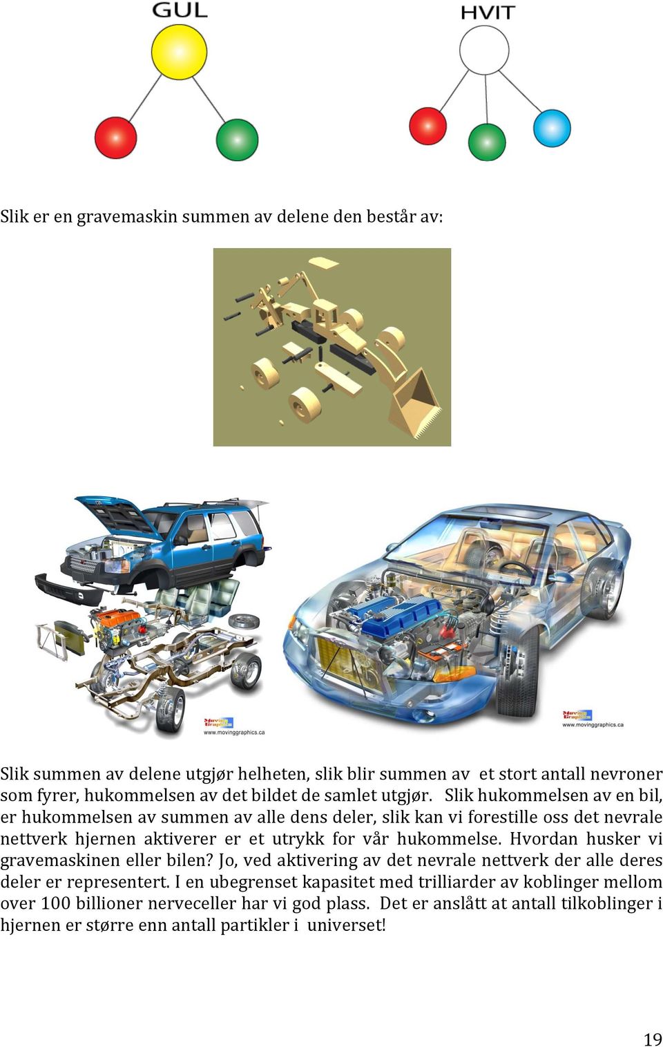 Slik hukommelsen av en bil, er hukommelsen av summen av alle dens deler, slik kan vi forestille oss det nevrale nettverk hjernen aktiverer er et utrykk for vår hukommelse.