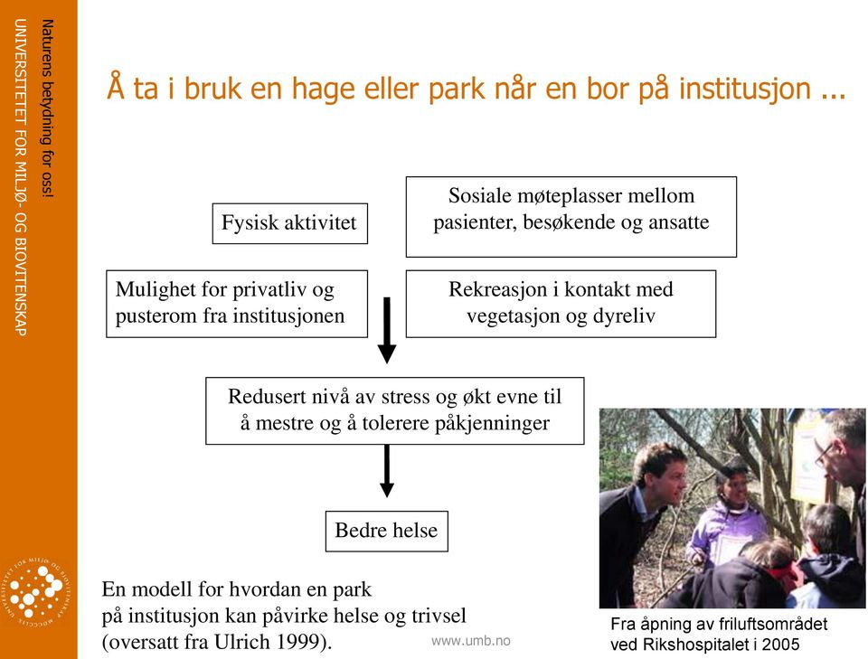 og ansatte Rekreasjon i kontakt med vegetasjon og dyreliv Redusert nivå av stress og økt evne til å mestre og å tolerere