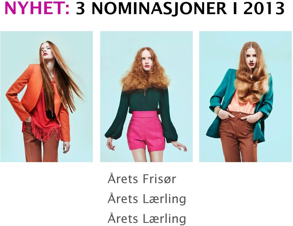 2013 Årets Frisør