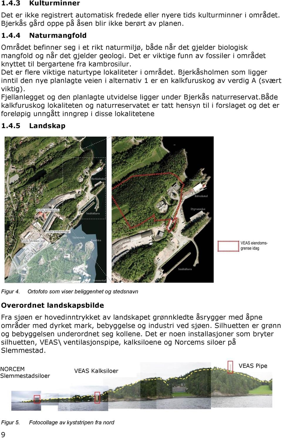 Bjerkåsholmen som ligger inntil den nye planlagte veien i alternativ 1 er en kalkfuruskog av verdig A (svært viktig). Fjellanlegget og den planlagte utvidelse ligger under Bjerkås naturreservat.