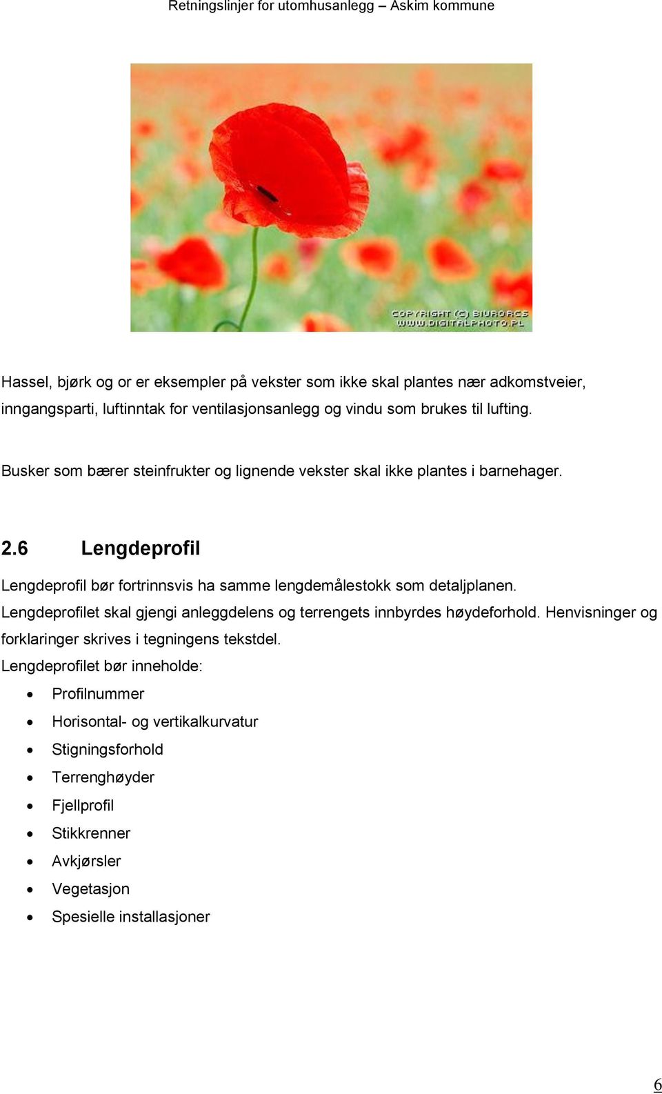 6 Lengdeprofil Lengdeprofil bør fortrinnsvis ha samme lengdemålestokk som detaljplanen.