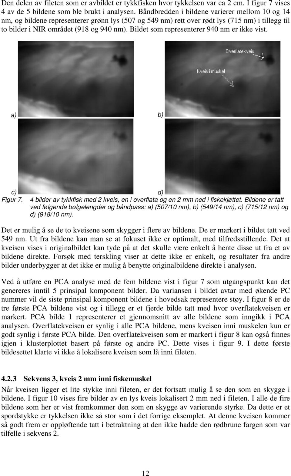 Bildet som representerer 940 nm er ikke vist. a) b) c) d) Figur 7. 4 bilder av tykkfisk med 2 kveis, en i overflata og en 2 mm ned i fiskekjøttet.