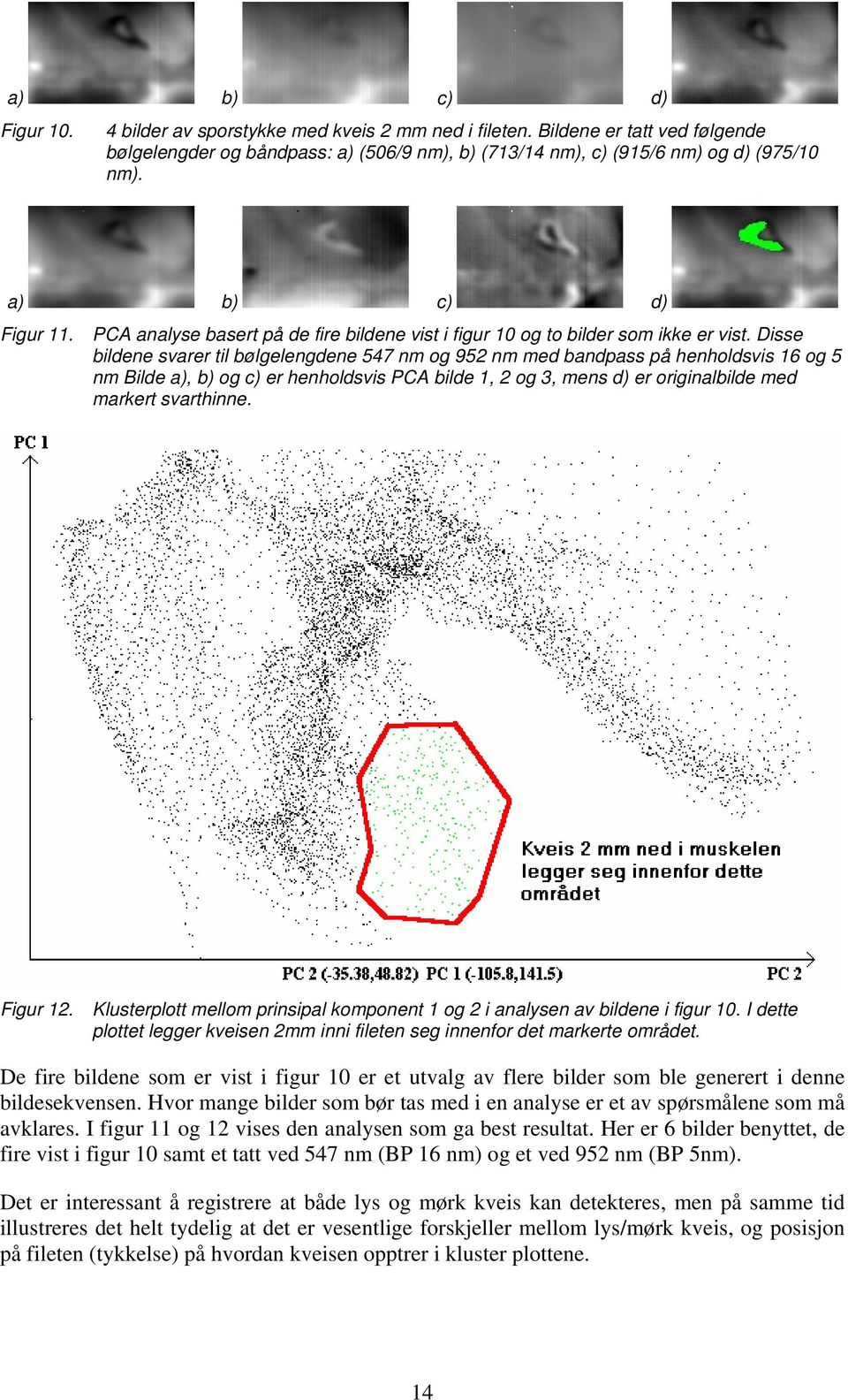 Disse bildene svarer til bølgelengdene 547 nm og 952 nm med bandpass på henholdsvis 16 og 5 nm Bilde a), b) og c) er henholdsvis PCA bilde 1, 2 og 3, mens d) er originalbilde med markert svarthinne.