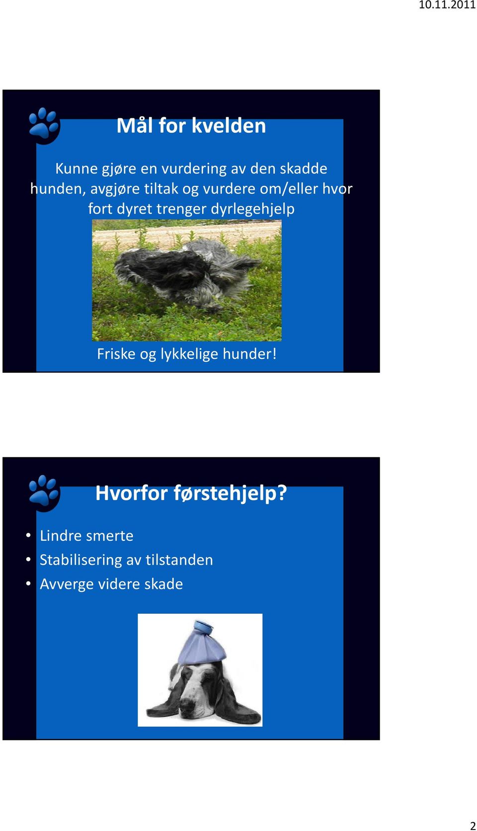 trenger dyrlegehjelp Friske og lykkelige hunder!