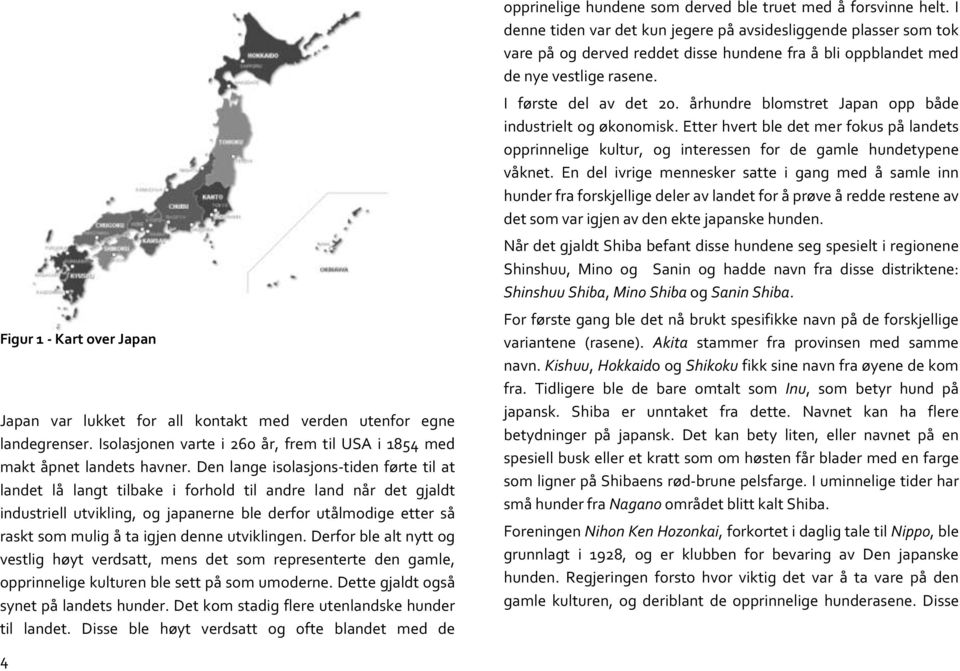 denne utviklingen. Derfor ble alt nytt og vestlig høyt verdsatt, mens det som representerte den gamle, opprinnelige kulturen ble sett på som umoderne. Dette gjaldt også synet på landets hunder.