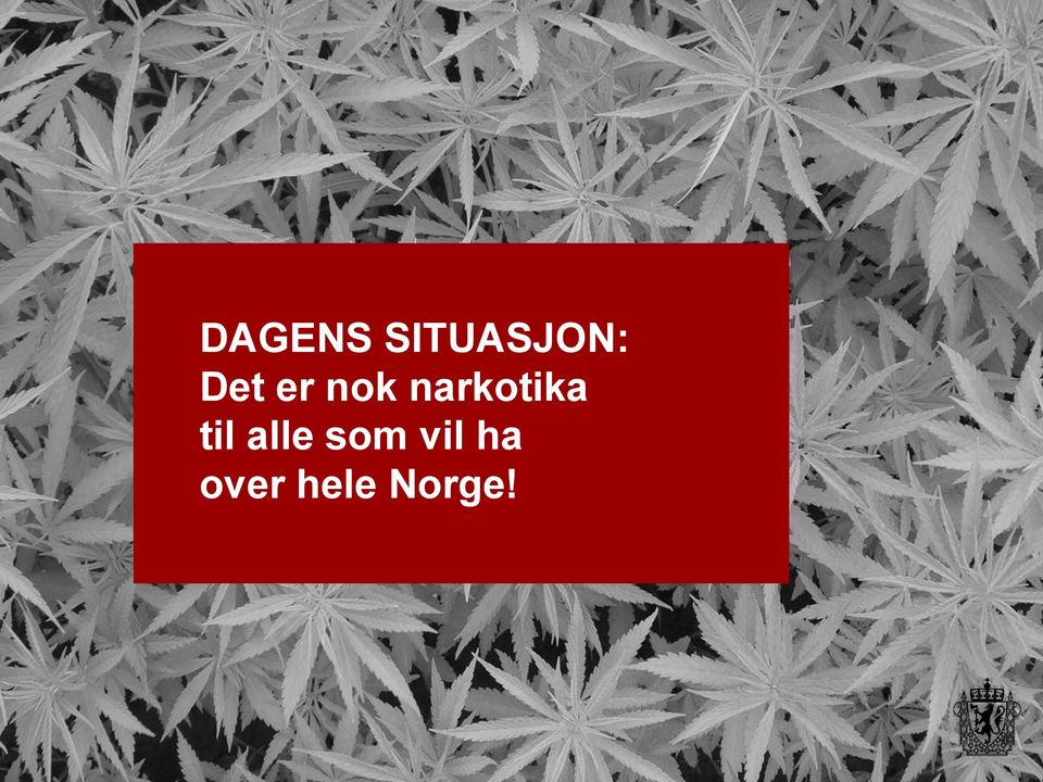 narkotika til alle