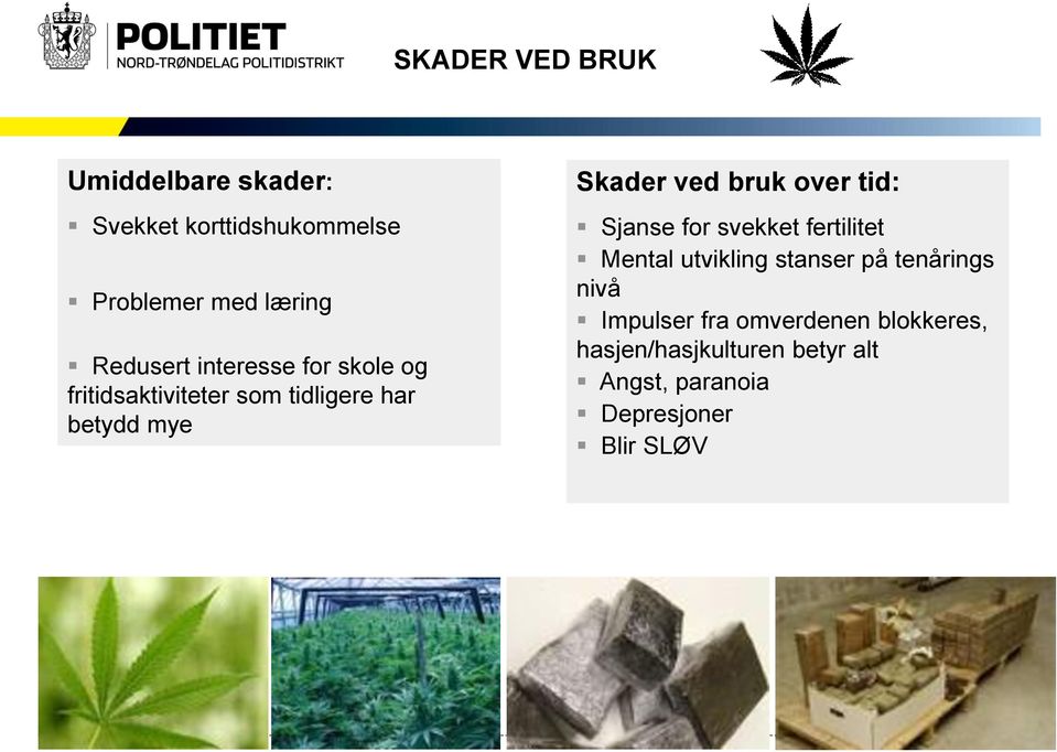 bruk over tid: Sjanse for svekket fertilitet Mental utvikling stanser på tenårings nivå