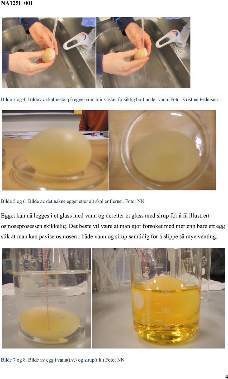 Egget kan nå legges i et glass med vann og deretter et glass med sirup for å få illustrert osmoseprosessen skikkelig.