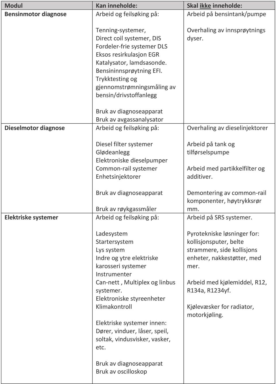 Trykktesting og gjennomstrømningsmåling av bensin/drivstoffanlegg Bruk av avgassanalysator Arbeid og feilsøking på: Diesel filter systemer Glødeanlegg Elektroniske dieselpumper Common-rail systemer