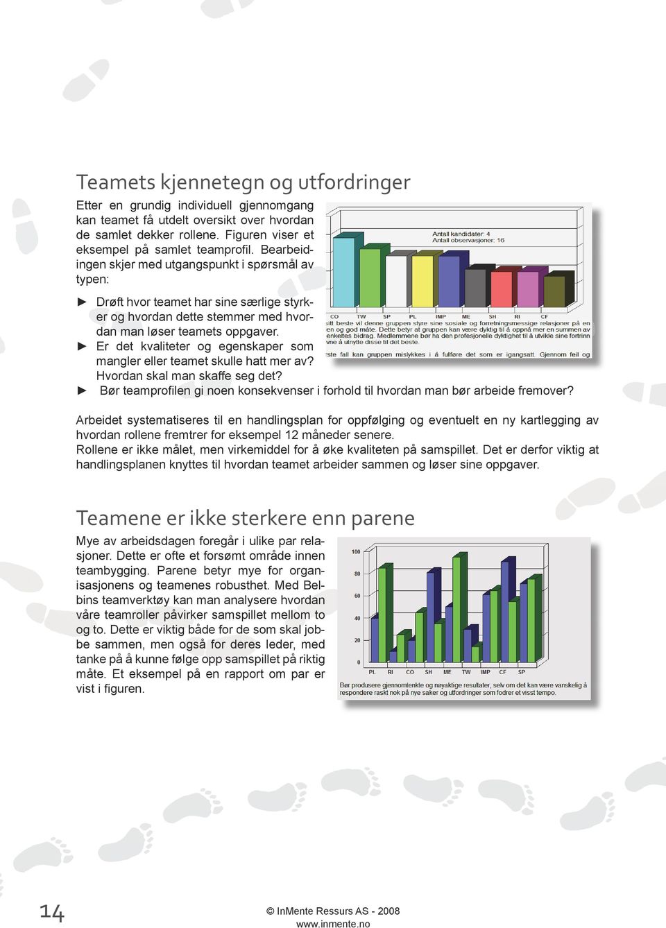 Er det kvaliteter og egenskaper som mangler eller teamet skulle hatt mer av? Hvordan skal man skaffe seg det? Bør teamprofilen gi noen konsekvenser i forhold til hvordan man bør arbeide fremover?