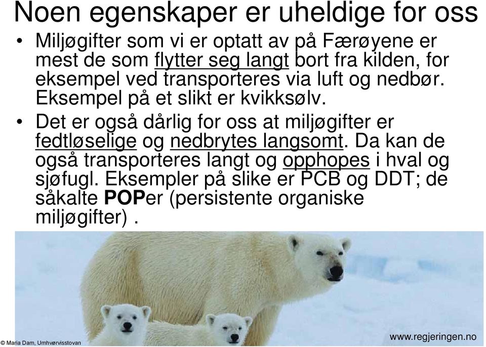 Det er også dårlig for oss at miljøgifter er fedtløselige og nedbrytes langsomt.