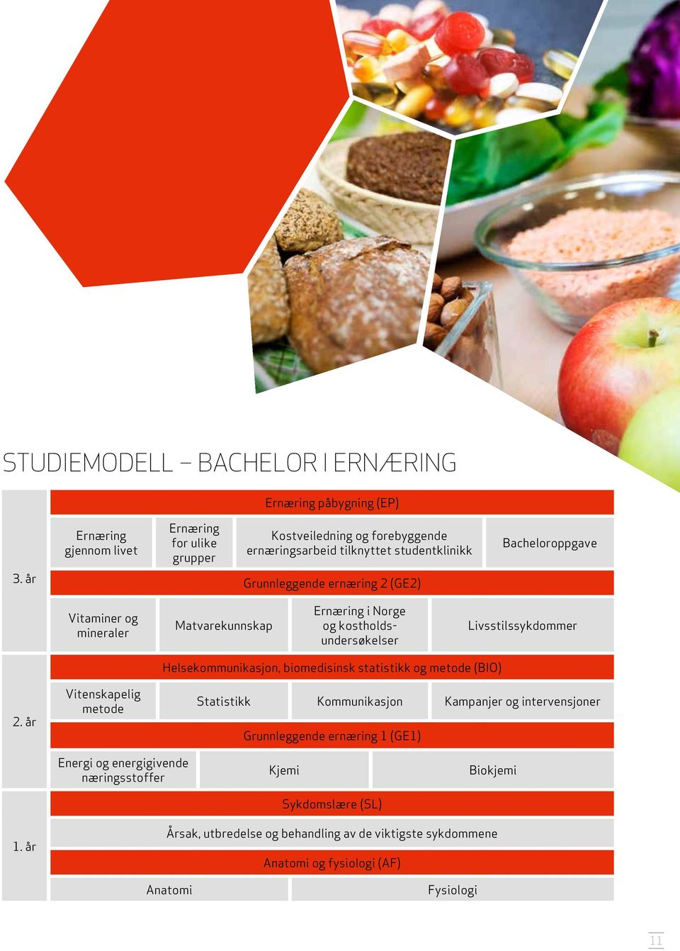 år Vitenskapelig metode Helsekommunikasjon, biomedisinsk statistikk og metode (BIO) Statistikk Kommunikasjon Kampanjer og intervensjoner Grunnleggende ernæring 1 (GE1)