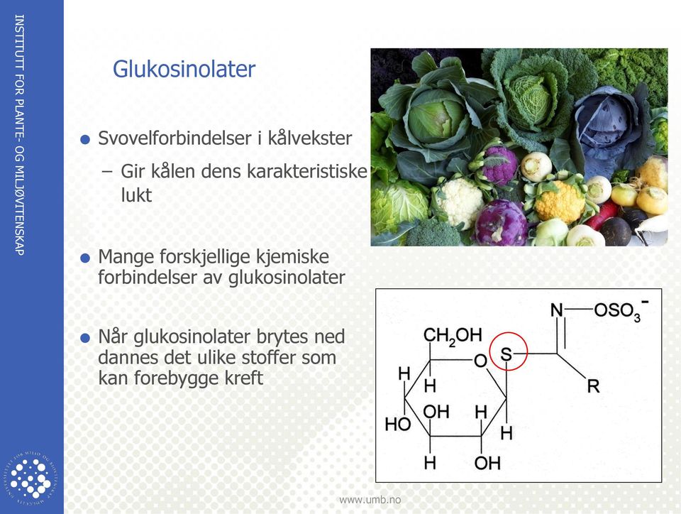 kjemiske forbindelser av glukosinolater Når