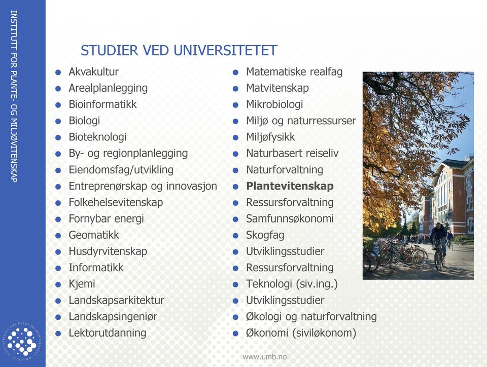 Plantevitenskap Folkehelsevitenskap Ressursforvaltning Fornybar energi Samfunnsøkonomi Geomatikk Skogfag Husdyrvitenskap Utviklingsstudier Informatikk