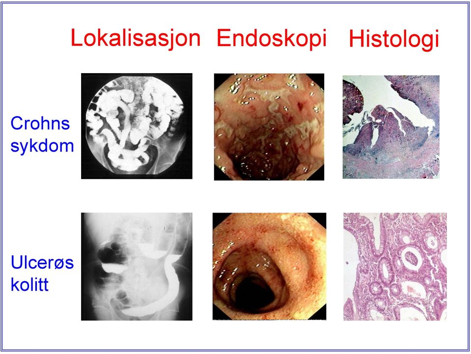 Histologi