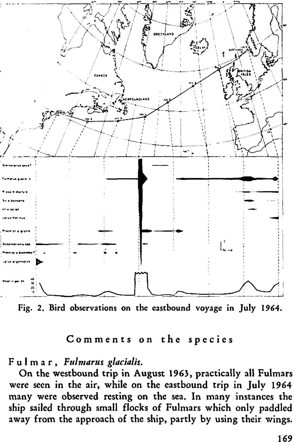 On the westbound trip in August 1963, practically all Fulmars were seen in the air, while on the eastbound