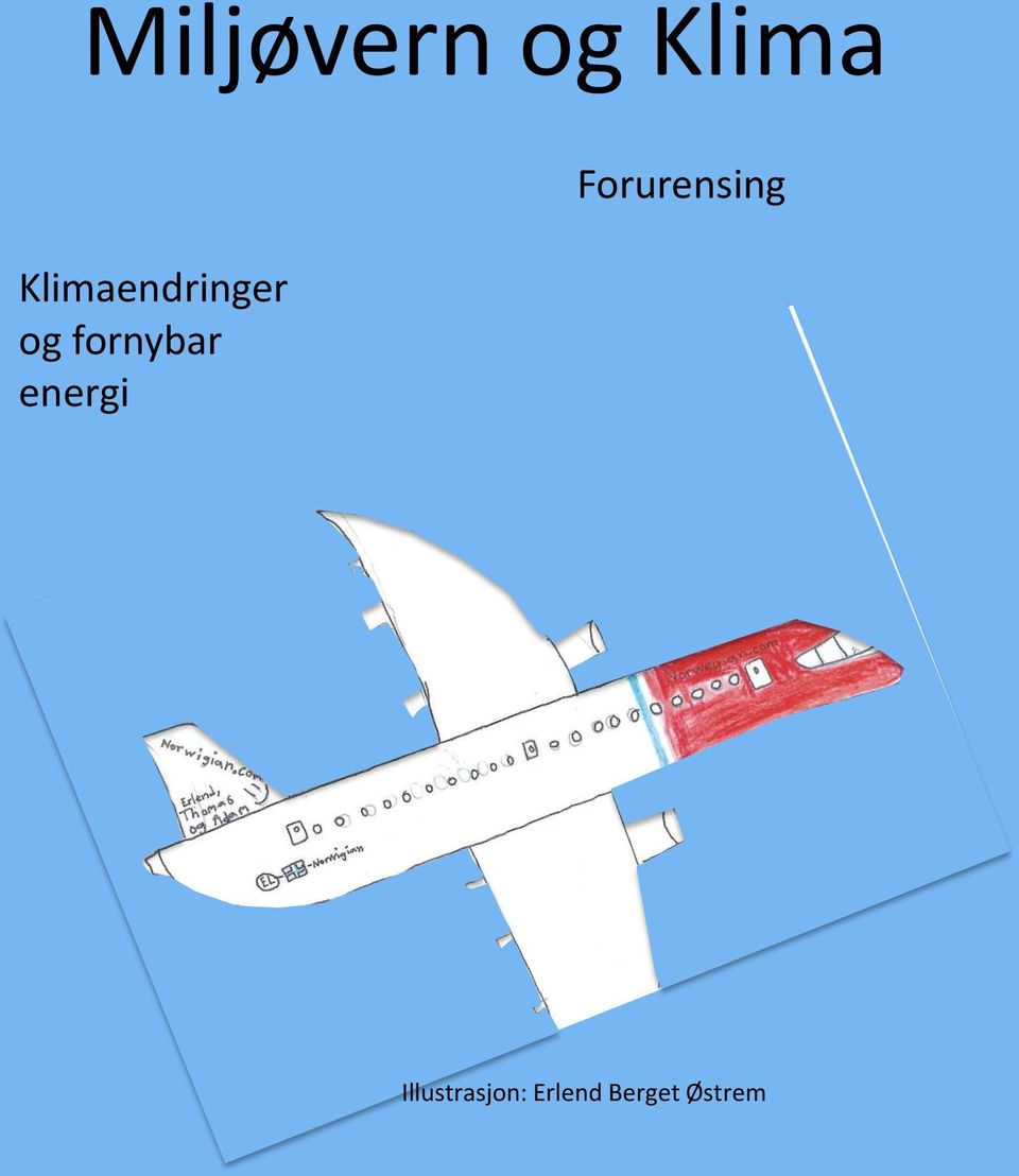 fornybar energi