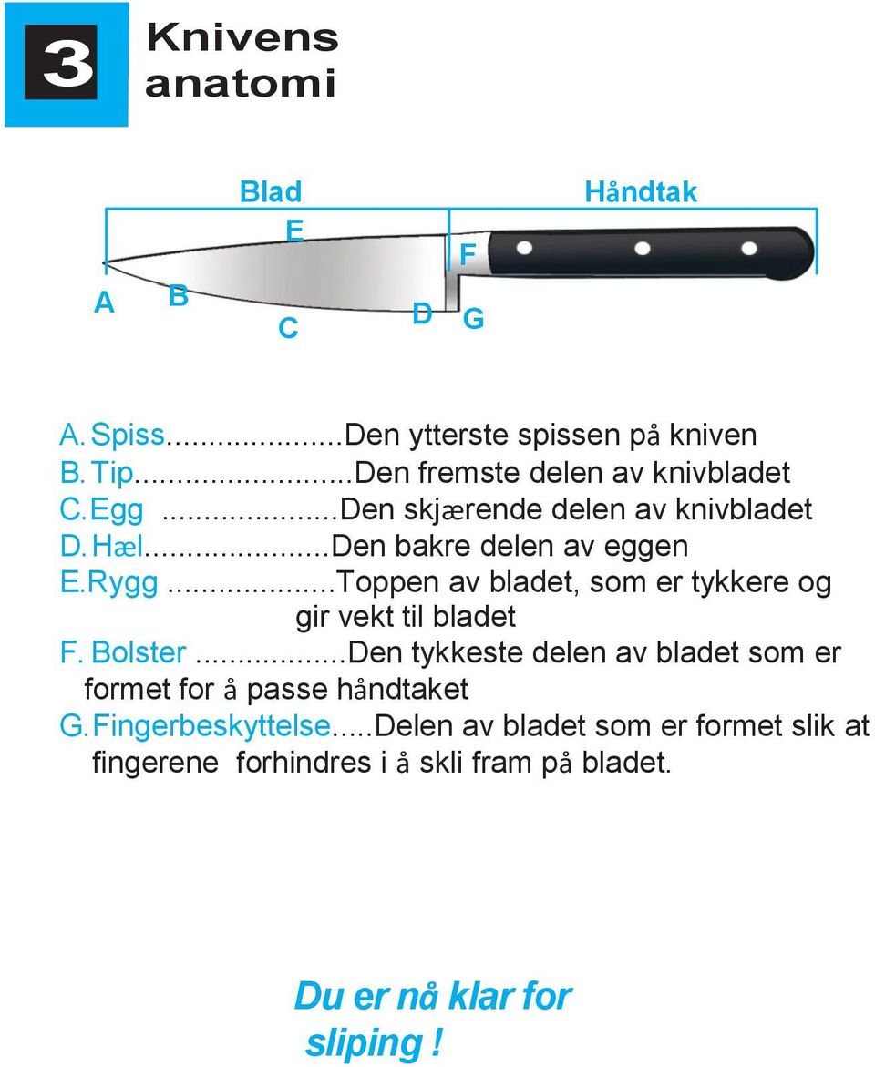 ..Toppen av bladet, som er tykkere og gir vekt til bladet F. Bolster.