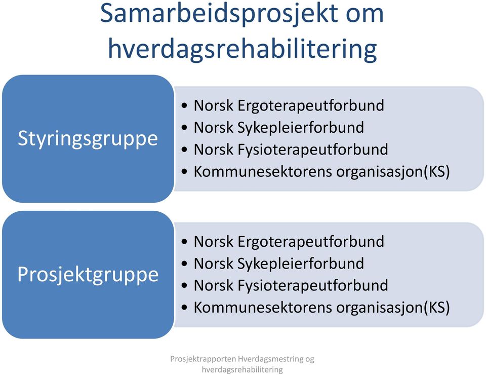 organisasjon(ks) Prosjektgruppe Norsk Ergoterapeutforbund Norsk 
